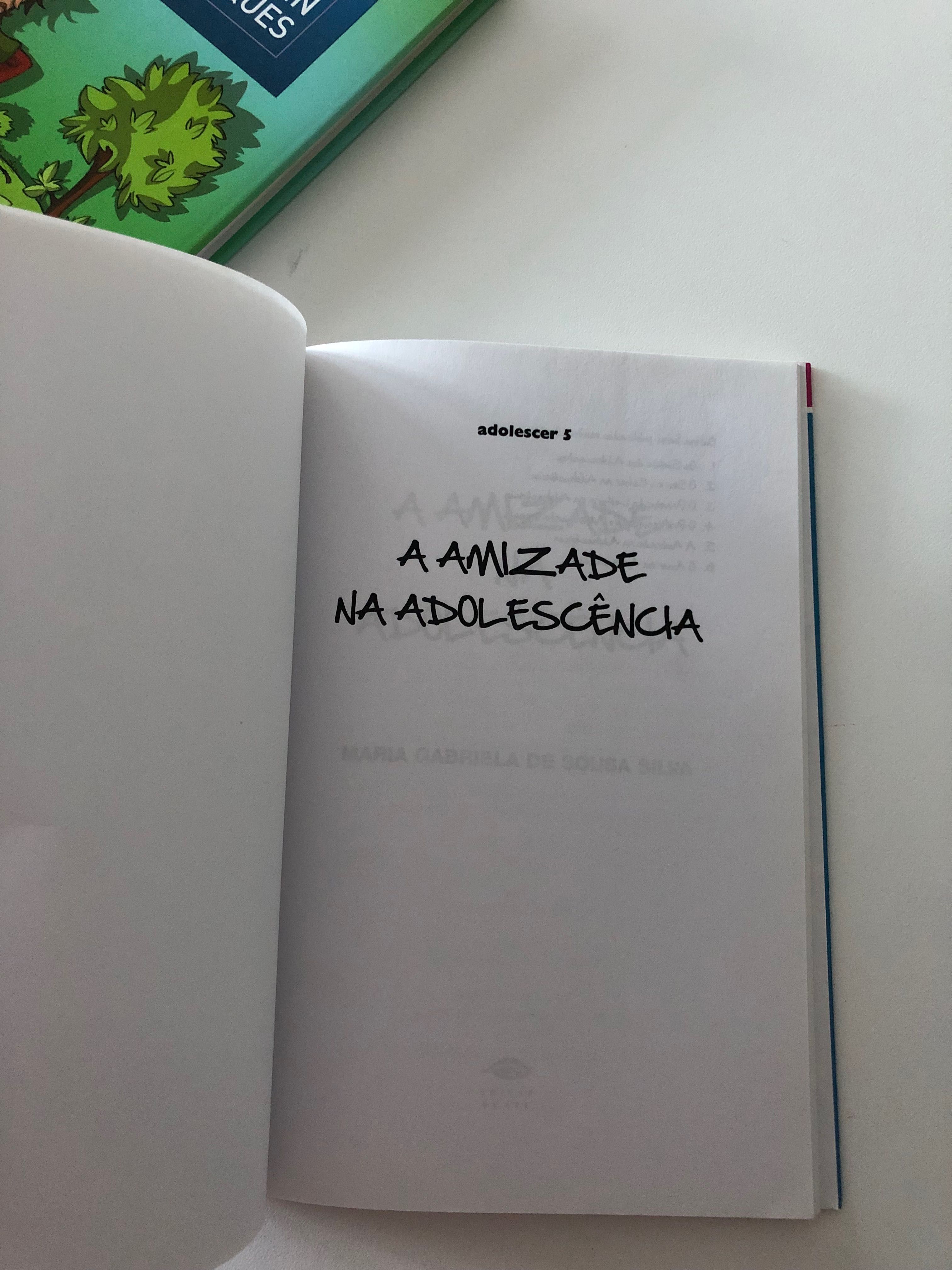 "Robin dos Bosques", "A Amizade na adolescência"