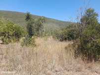 Terreno  para venda