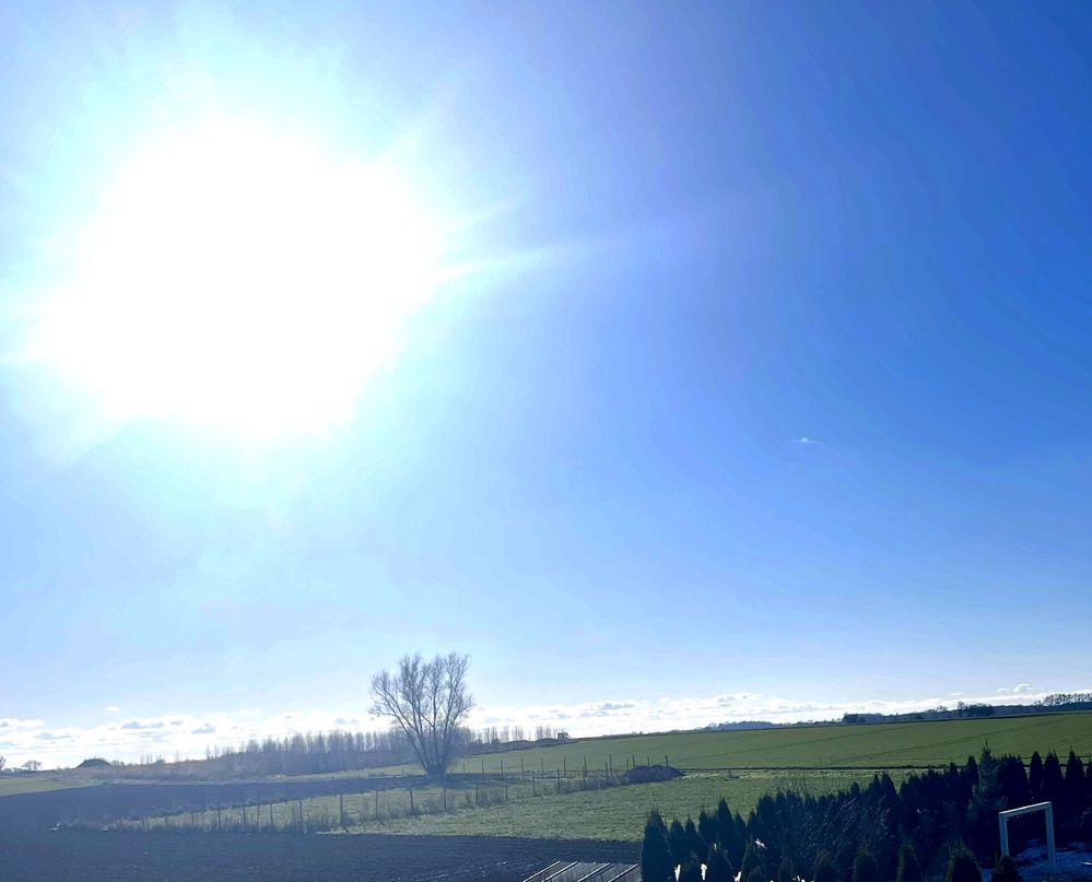 Działka pod budowe domu, Skalin