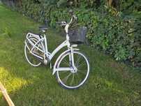 ROWER Batavus Mambo