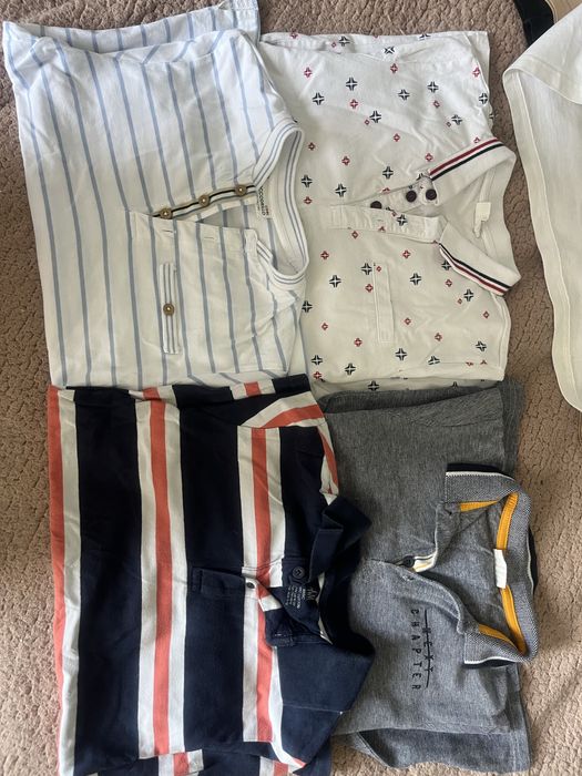 Koszulki polo cocodrillo