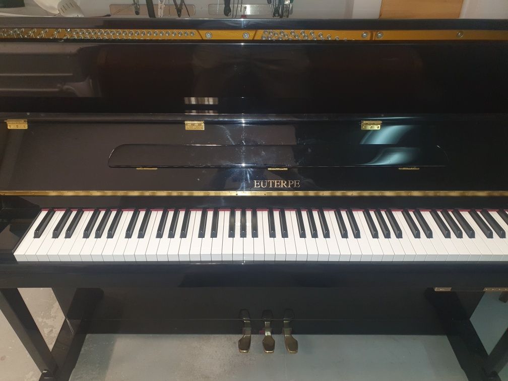 Pianino Euterpe ( Bechstein) z Silent System