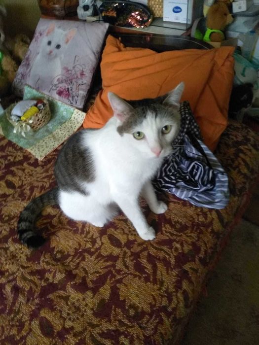 Filip czeka na swoją szansę