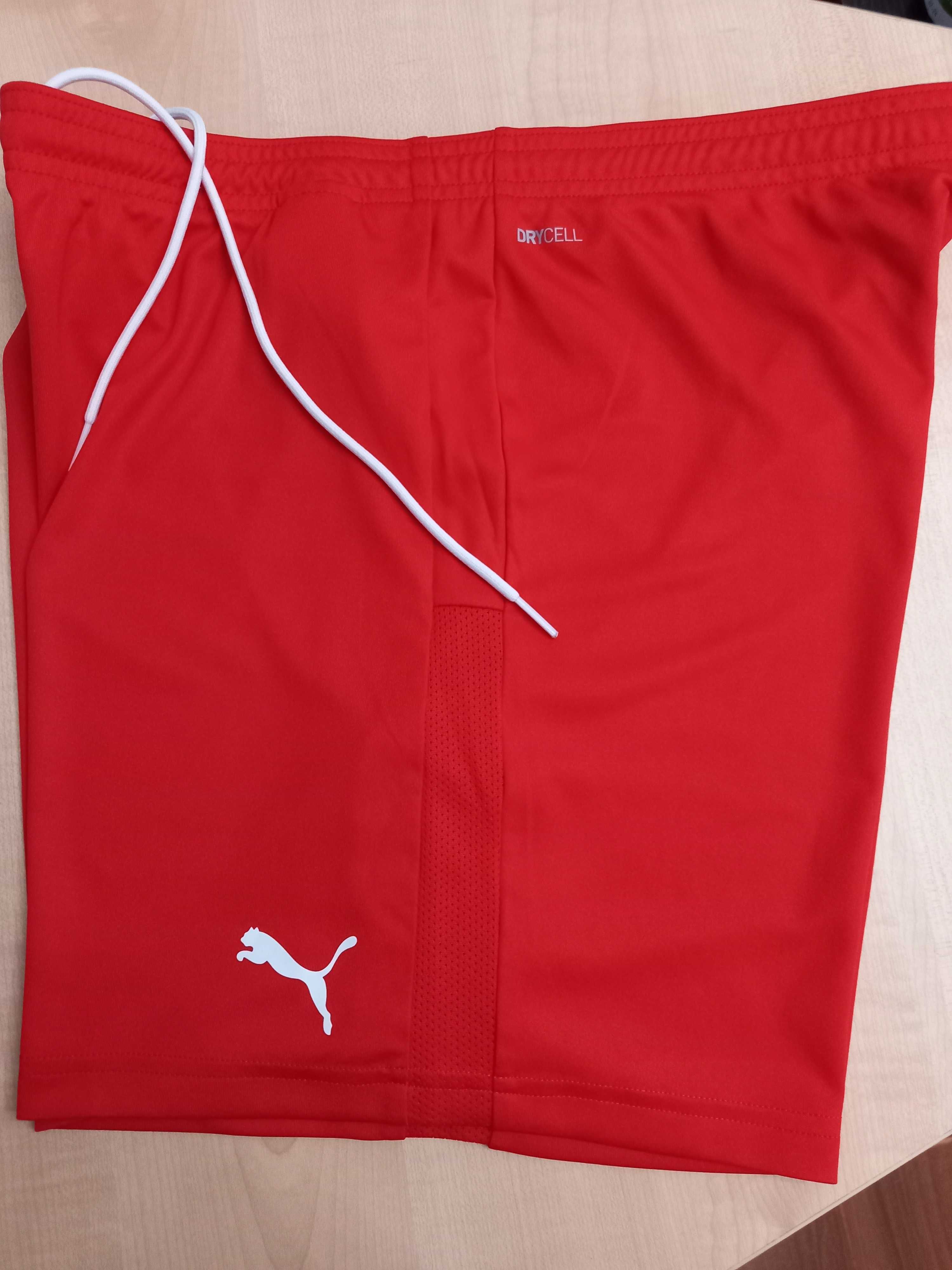 PUMA разм. L мужские тренировочные шорты Men's Training Shorts