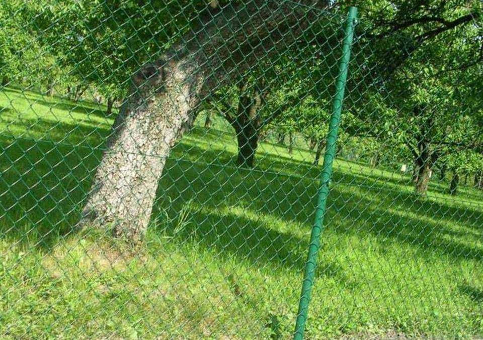 Ogrodzenie płot siatka powlekana