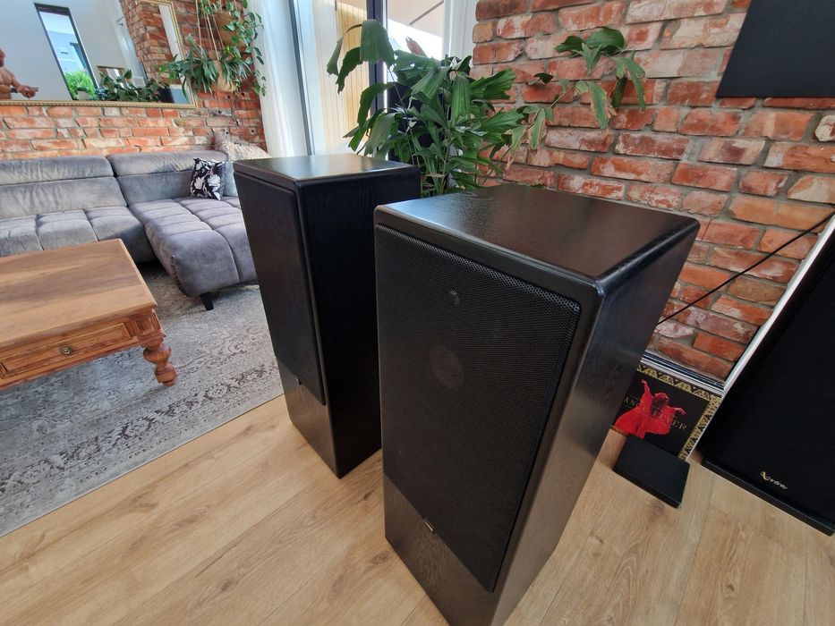 Kolumny CANTON CT-2000