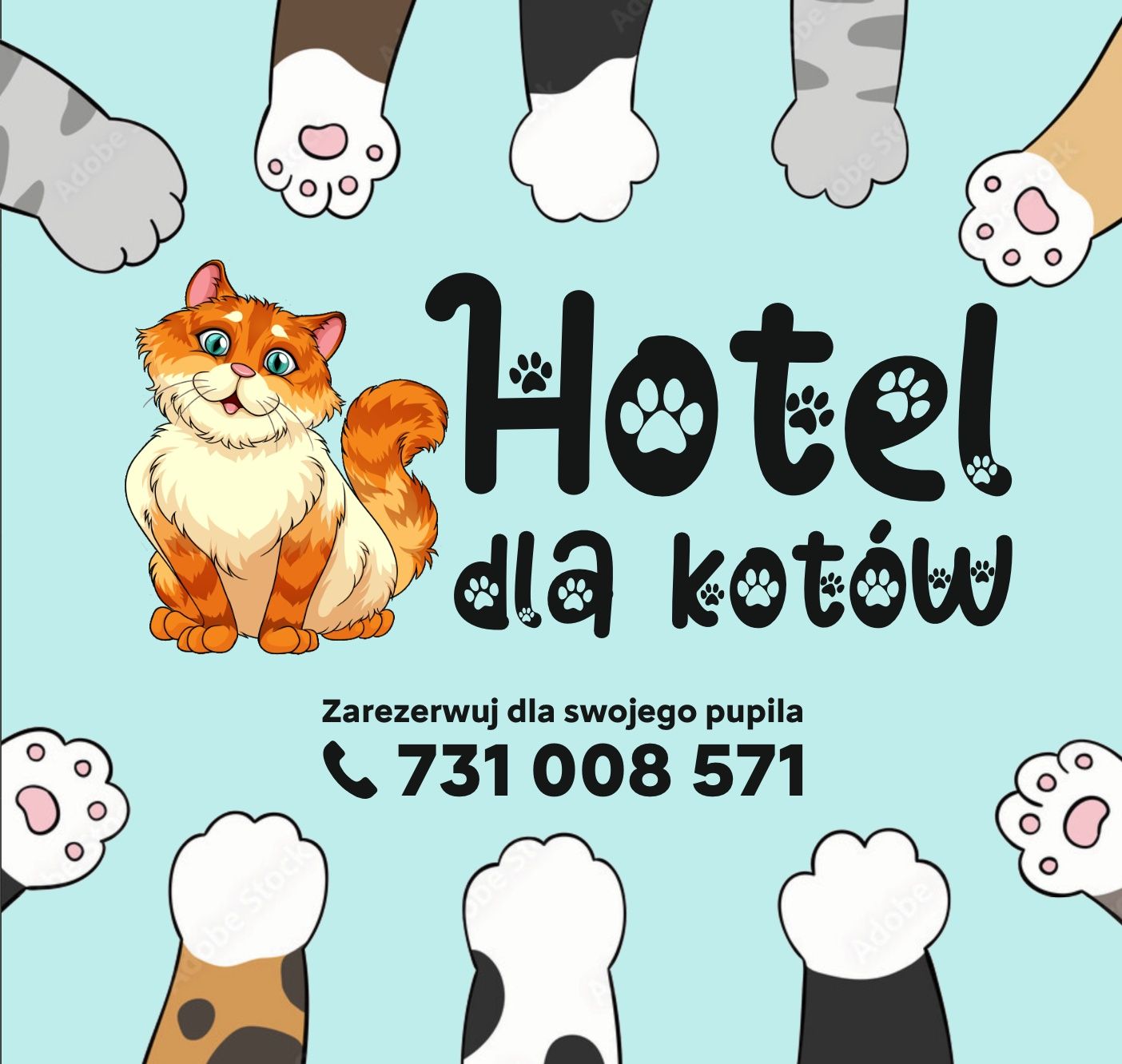 Hotel dla kotów "Koci Kącik", nocleg dla kotów Będzin