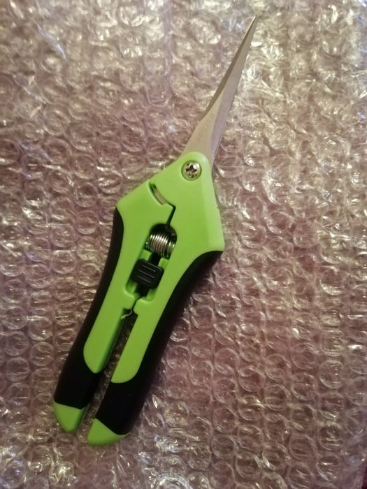 Сікатор-ножиці для кімнатних рослин.