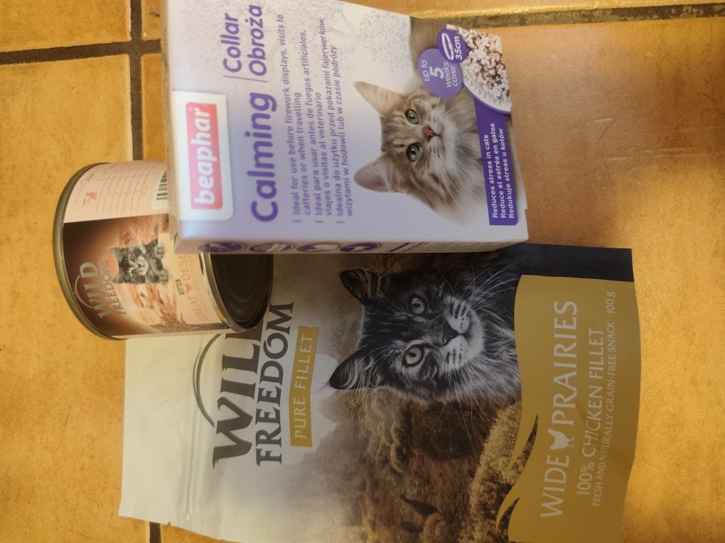 Wild Freedom Kitten