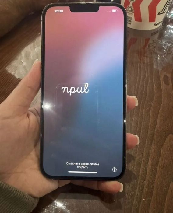 iPhone 13 Pro Max 512