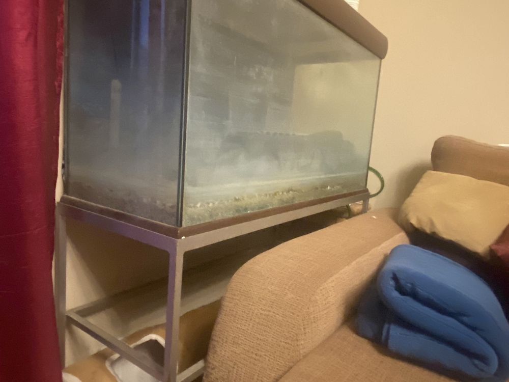 Aquario 300L com todos os acessorios