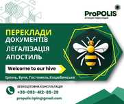 Переклад документів, апостиль в Ірпені