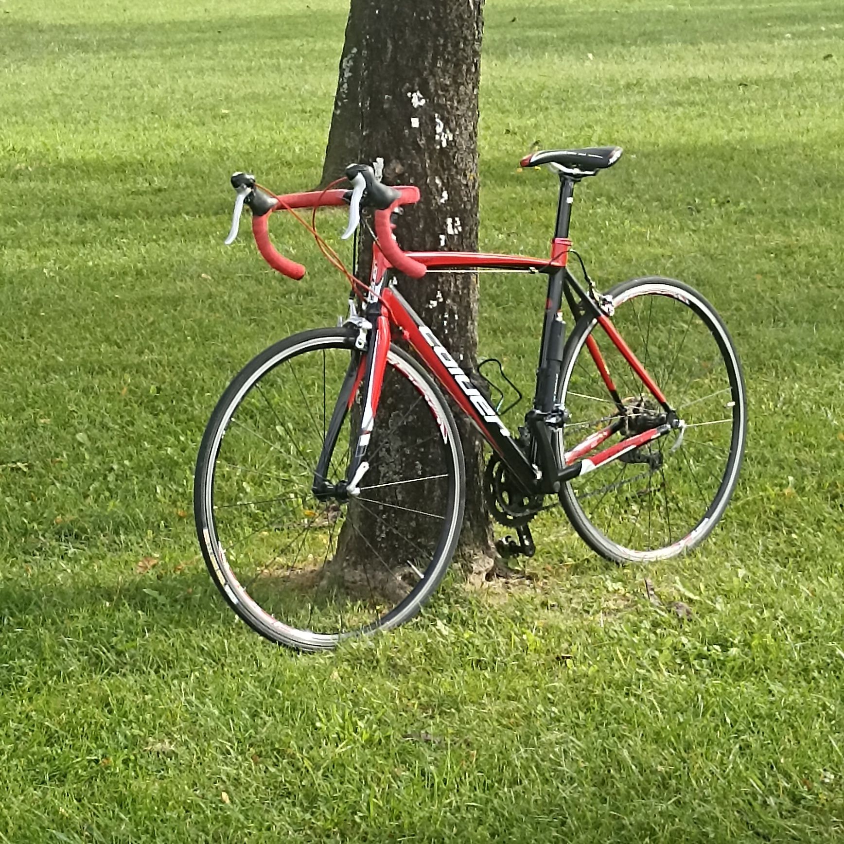 Bicicleta (estrada / ciclismo) Coluer Radar