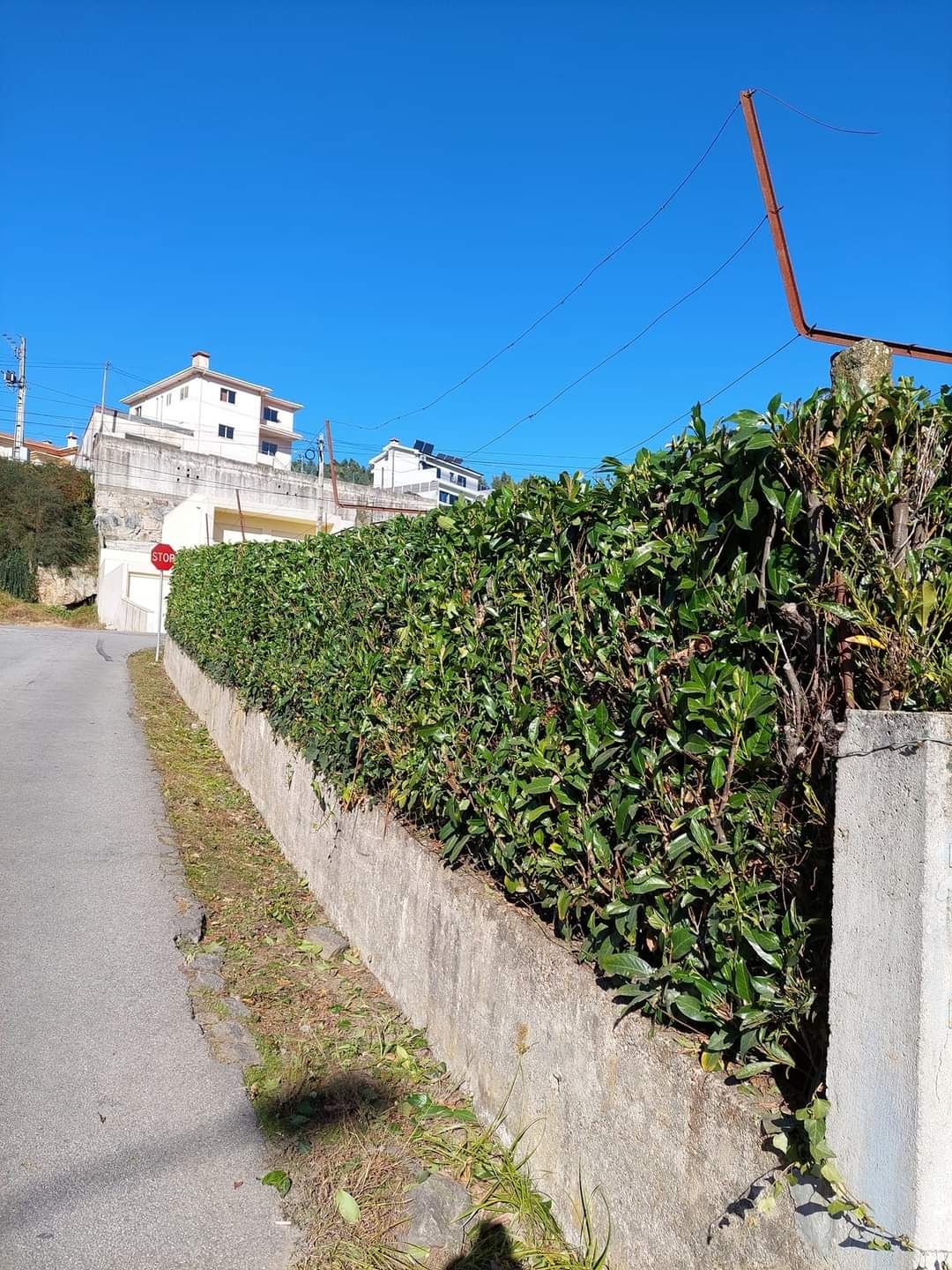 Serviço De Jardinagem | Limpeza De Terrenos | Poda de Árvores