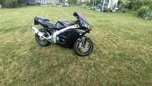 Kawasaki Zx6R Gold