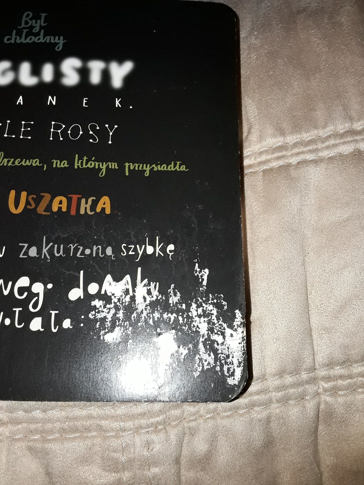 Drugie urodziny prosiaczka