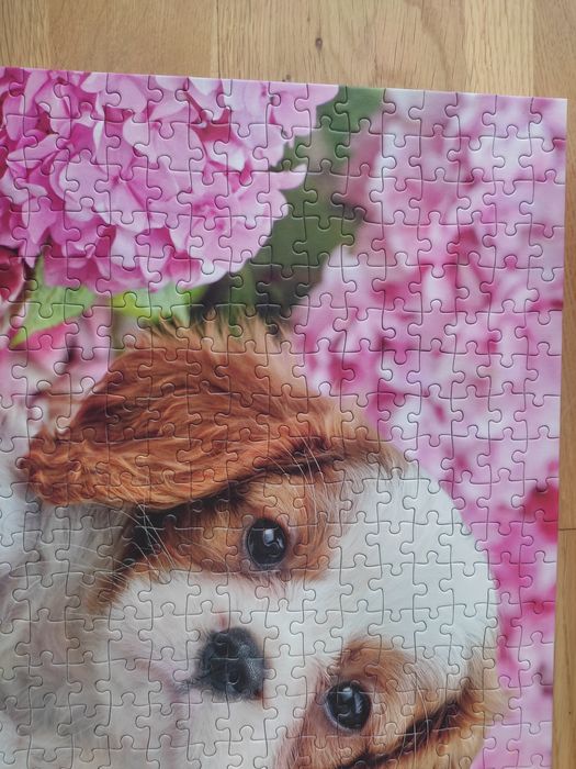 Puzzle 500 Pup in Pink Flowers / Szczenię w różowych kwiatach
