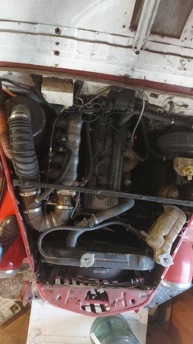 продається бойовий кінь!