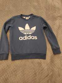 Niebieska bluza Adidas