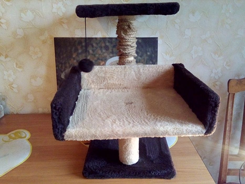 Когтеточка кошача