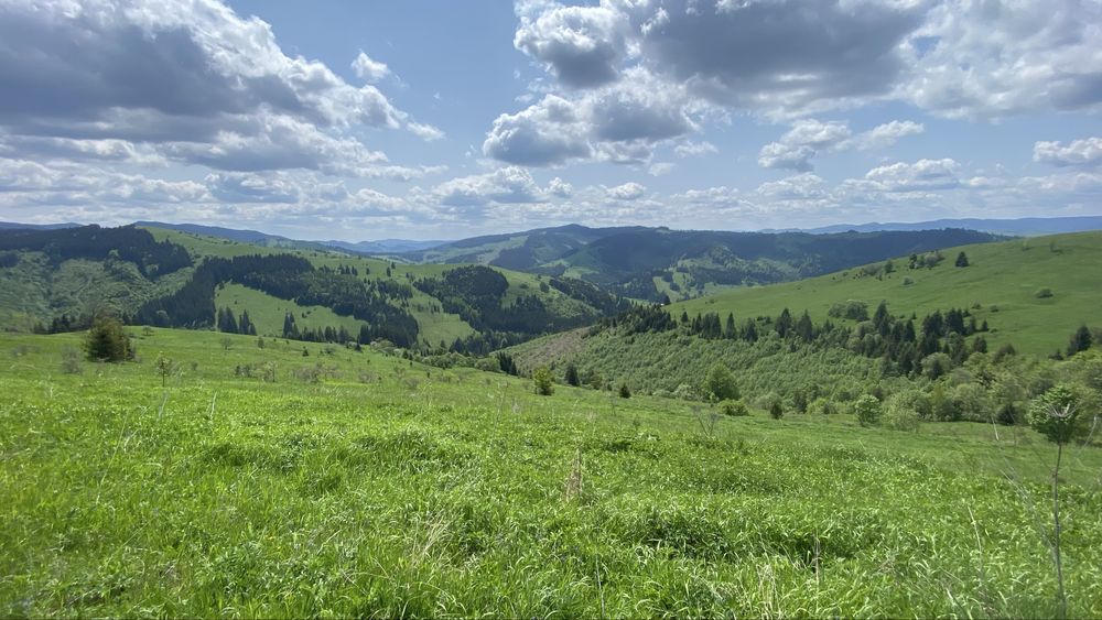 Будинок в горах з великою земельною ділянкою
