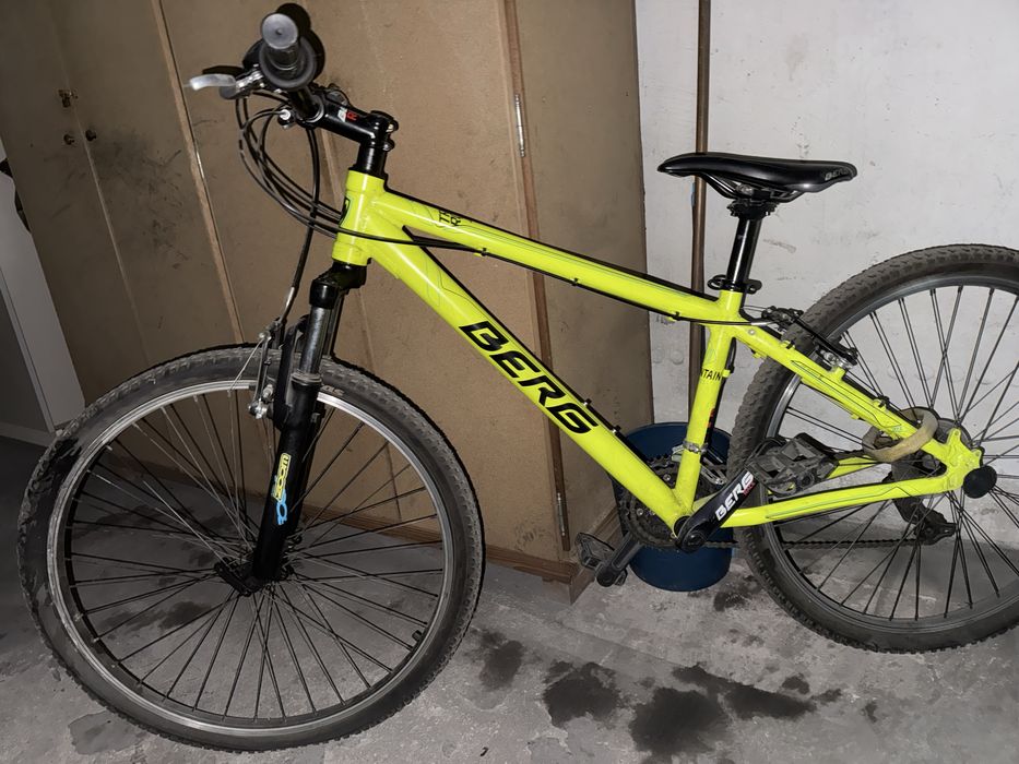 Bicicleta Berg Mountain Series