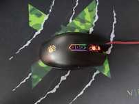 Мышка Bloody Q80