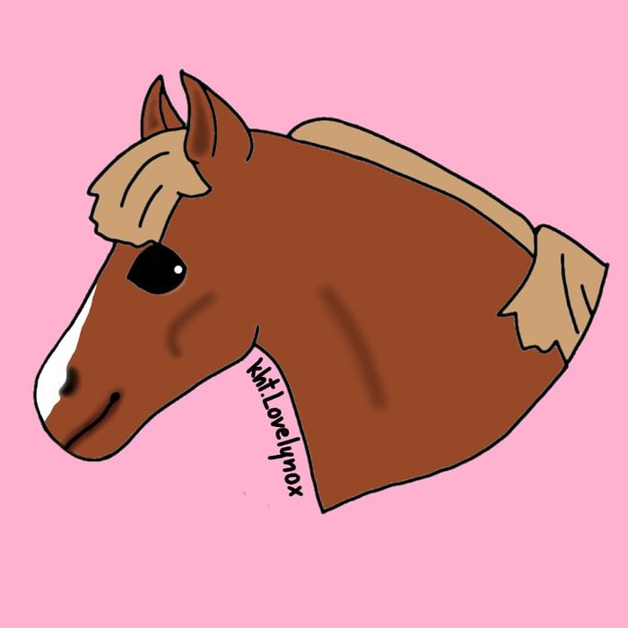 Zrobię hh na zamówienie