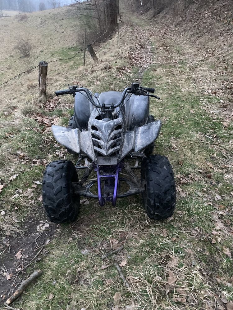 Atv quad cross bashan 110