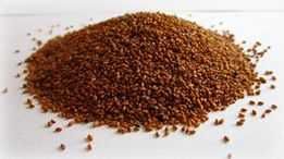 Rzepak, len, ostropest, słonecznik, pestki dyni, lnianka, mak, sezam