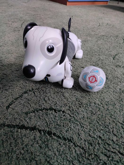 Робот собака Silverlit Dackel. Игрушка