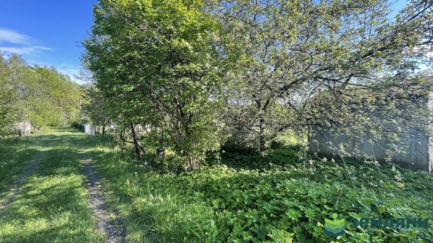 Продається ділянка 6 сот в с. Микитинці (2)
