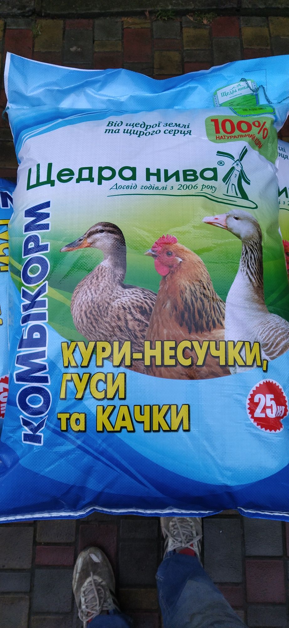 Качки муларди кури суточні