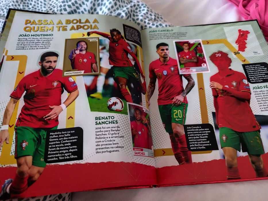 Caderneta Panini OFICIAL
Fome de vencer
FPF portugal