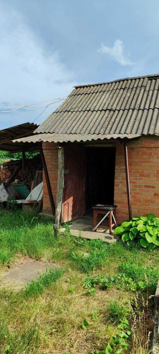Дача біля лісу з великим дворищем та ділянкою 60 сот