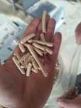 Pellet drzewny iglasty