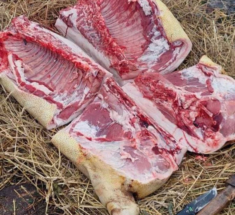 Четвертина свині