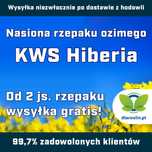 Rzepak ozimy Hiberia F1 opak 1,5mln Integral Pro Buteo Start Initio