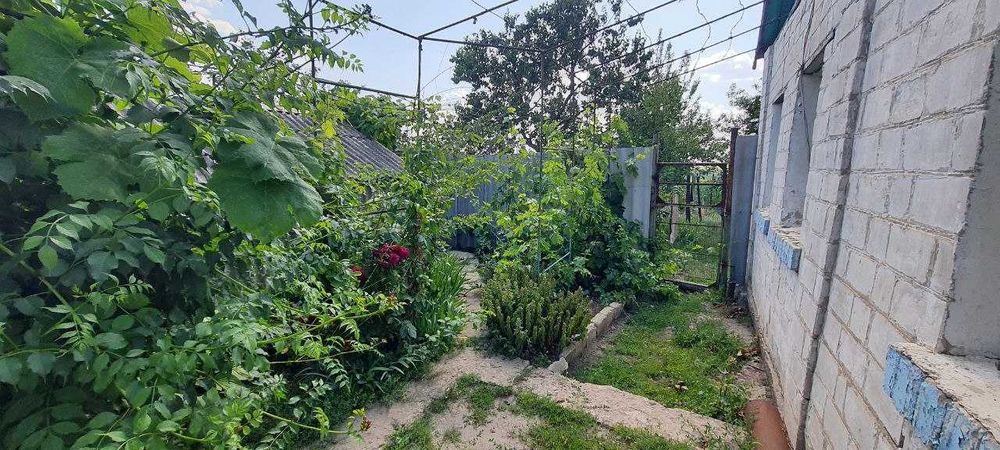 Продам будинок с. Таранівка