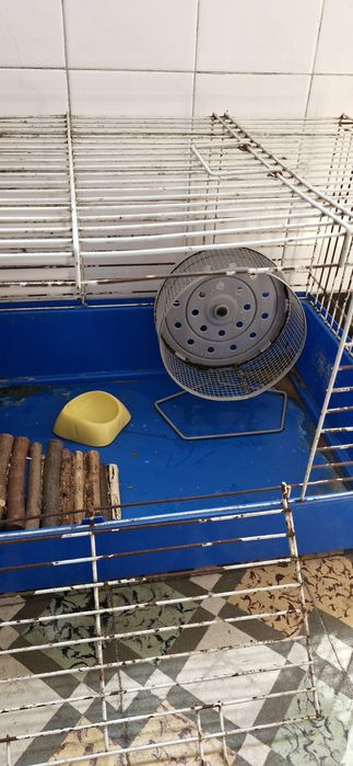 Gaiola de Roedor Completa