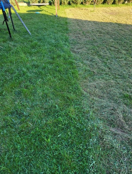 Wynajem / wypożyczę/ wertykulator 110zł