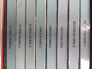 As minhas amigas (plantas)