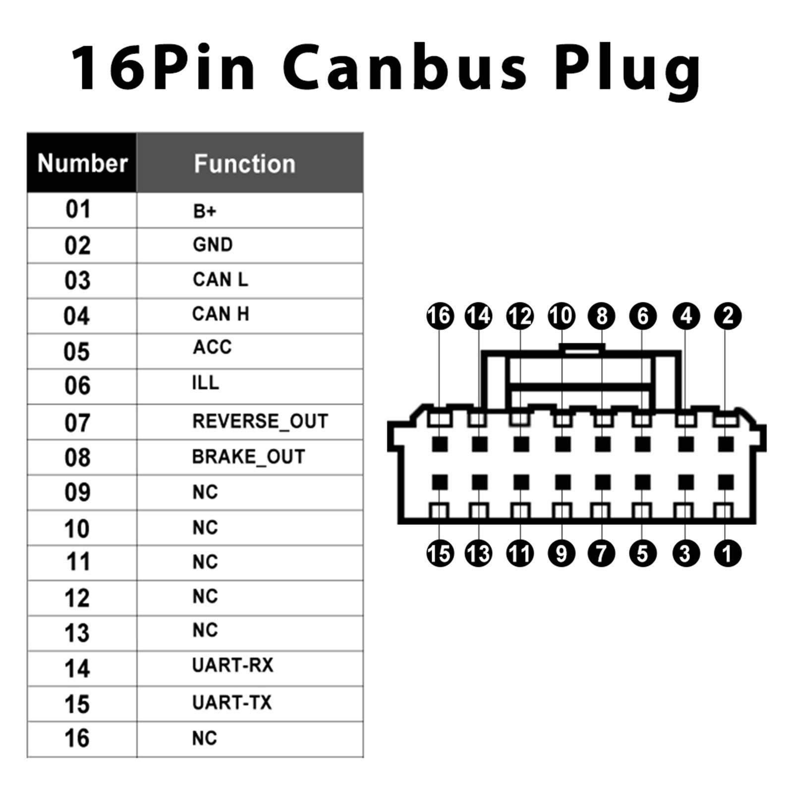 CANBUS E cabos 16 pinos Volkswagen NOVO