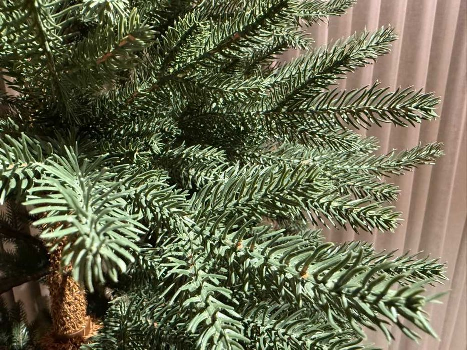 Clarex CHOINKA Świerk Kanadyjski 100 PE - 220cm