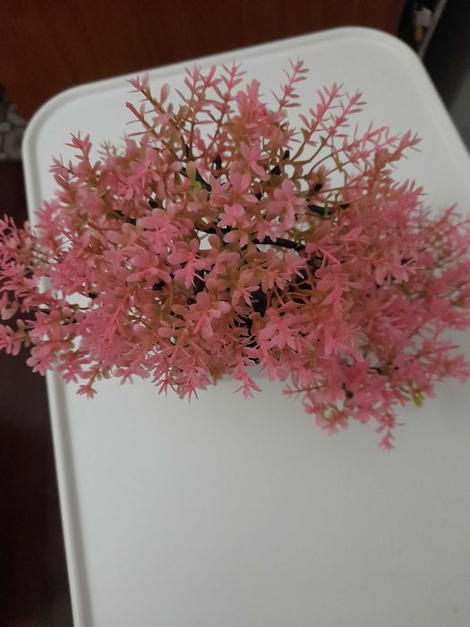 Decoração para qualquer lugar