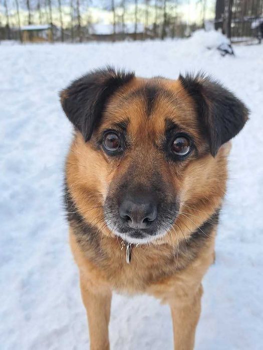 Funia - całe życie w poniewierce