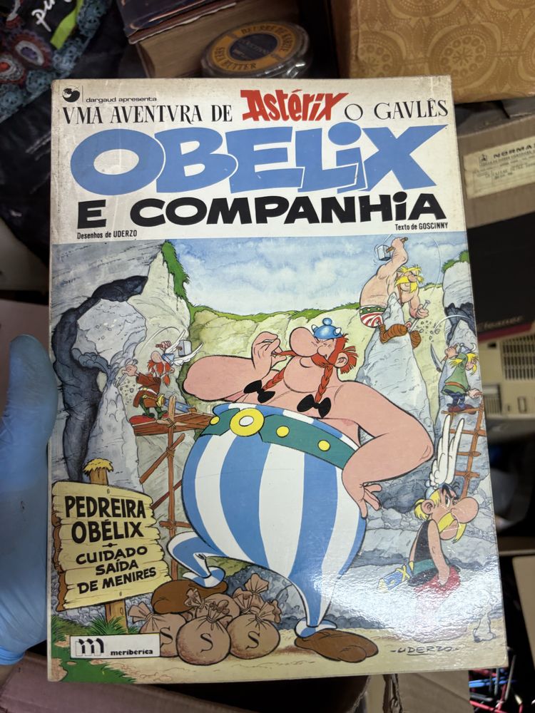 Livros do  Asterix.