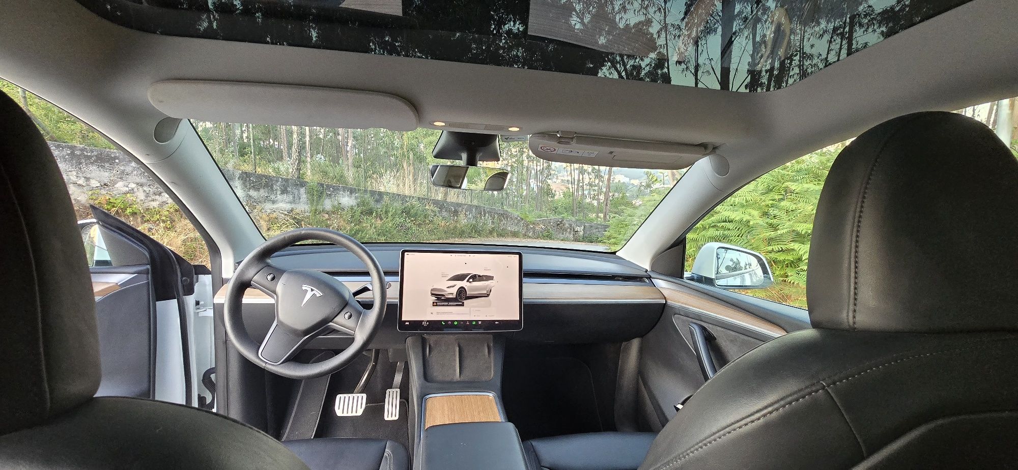 TESLA Model Y Long Range Performance  534cvs AWD