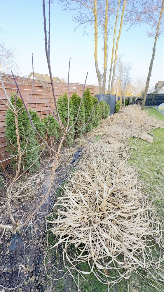 Koszenie trawy, karczowanie, ogród – szybko i solidnie!