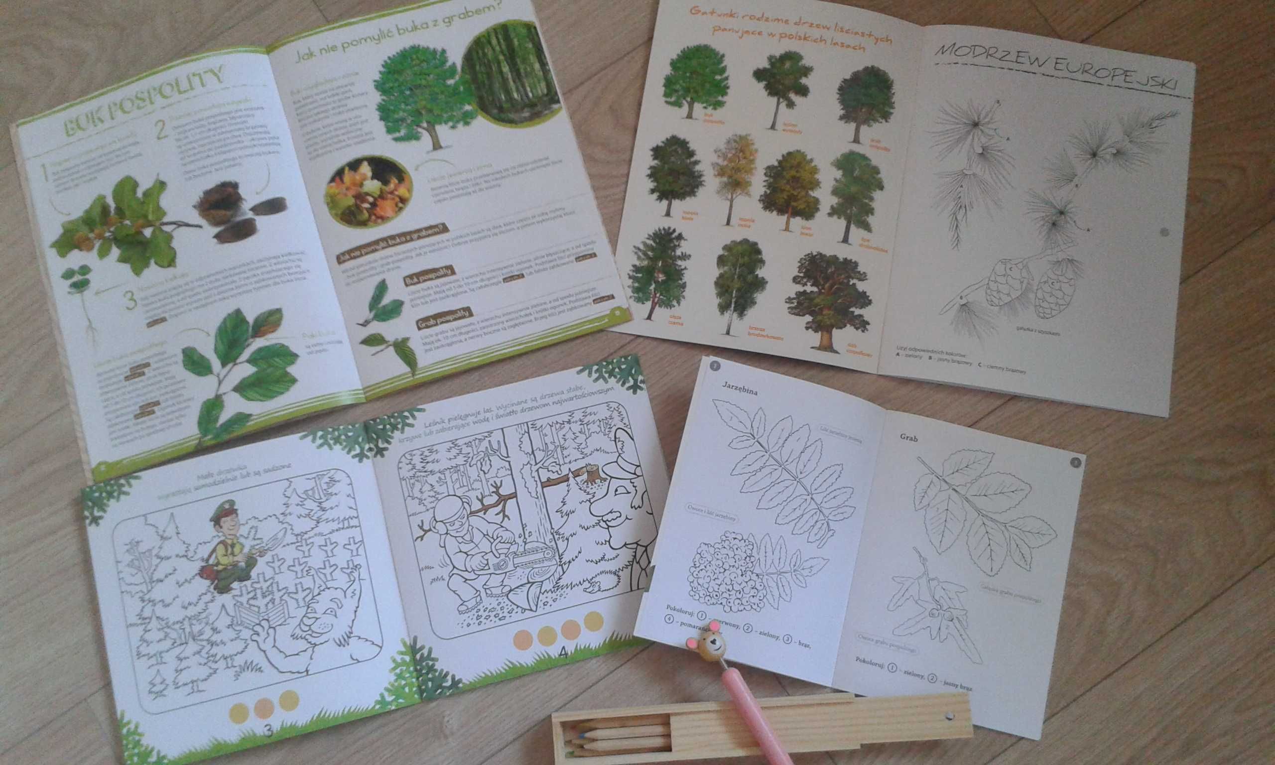 Kolorowanki Leśne + Gratis edukacyjny zestaw poznaj las